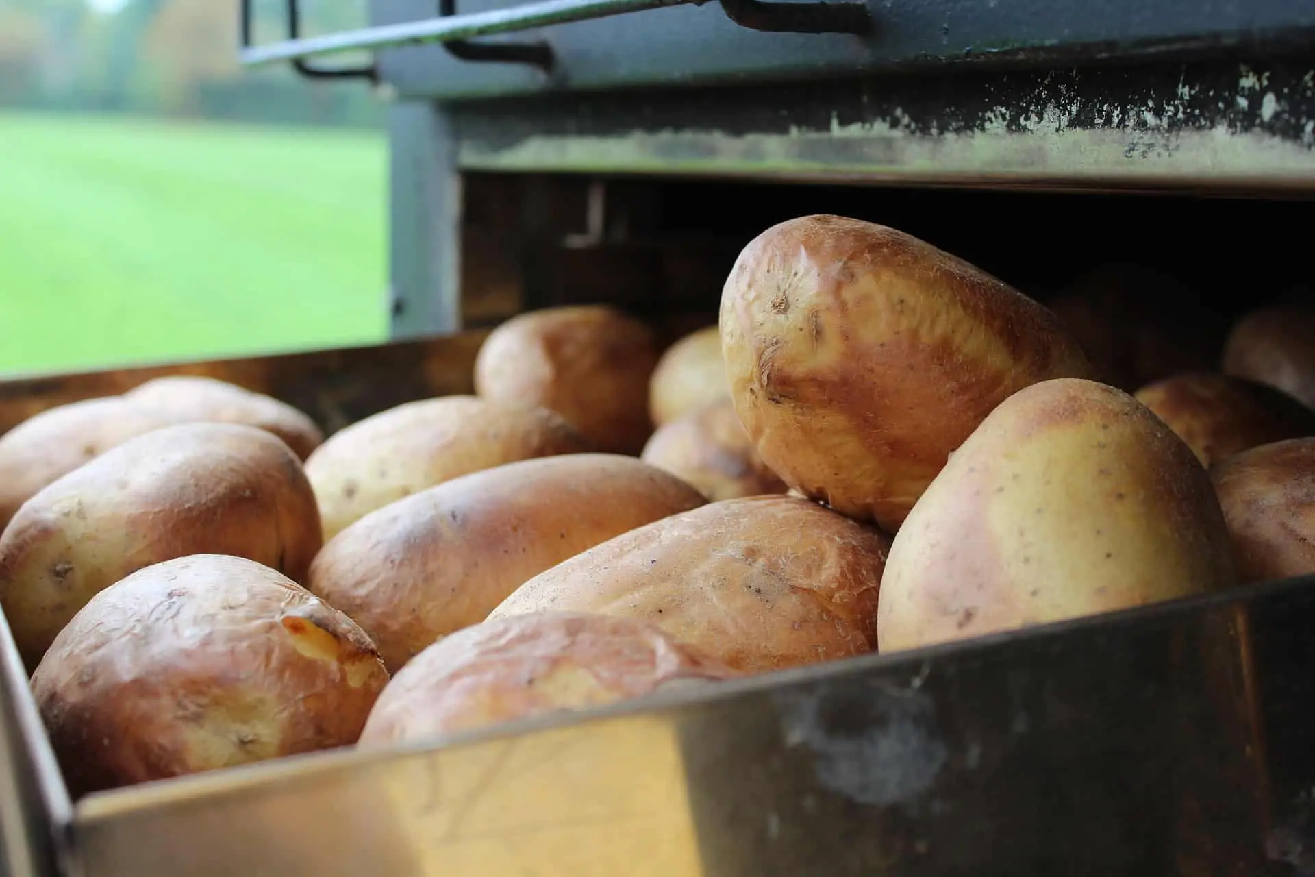 Fresh Potatoes inside the Oven