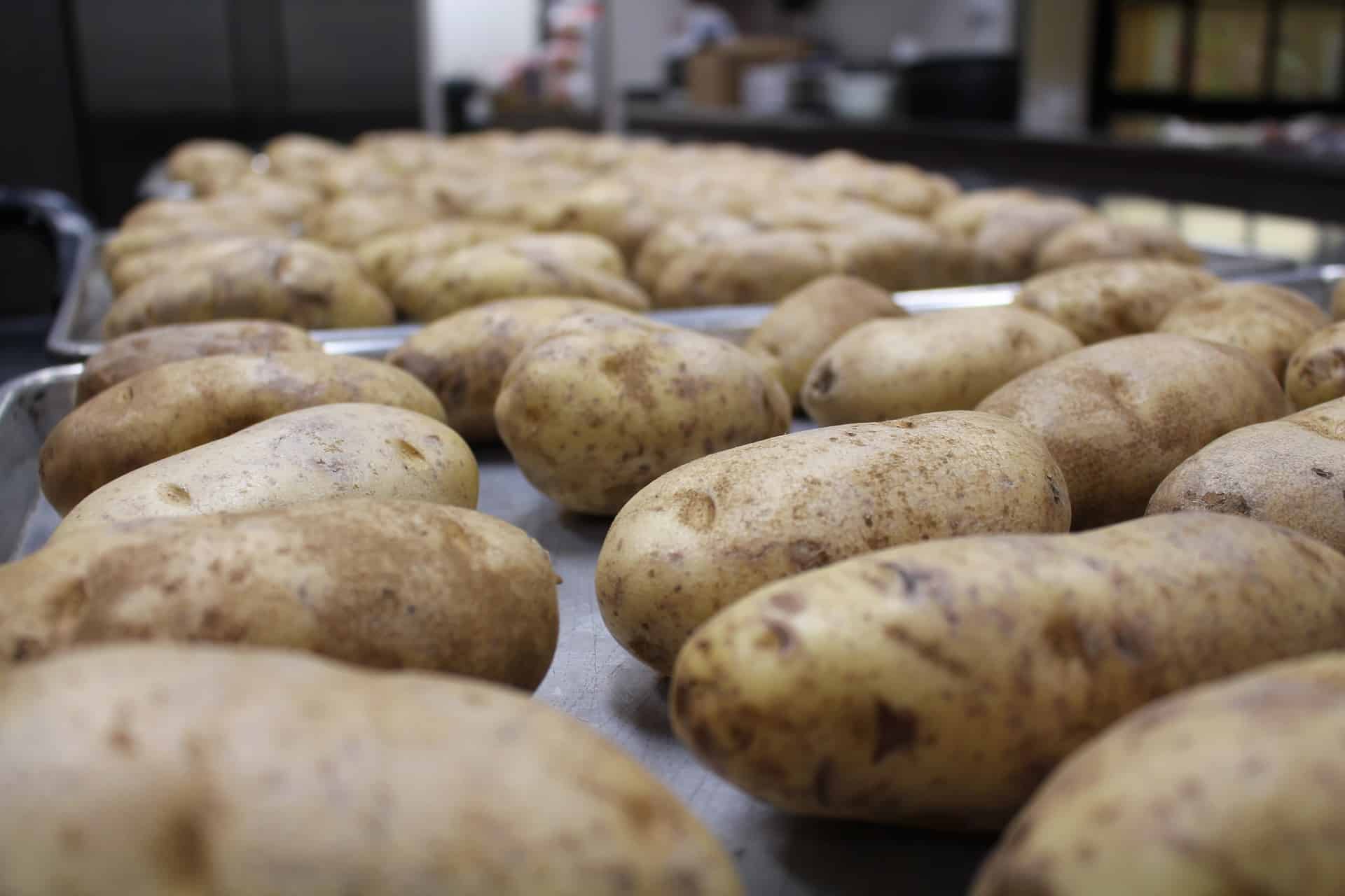 Fresh Potatoes in a Tray ready to be baked